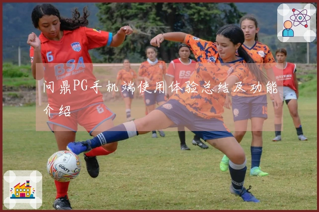 问鼎PG手机端使用体验总结及功能介绍